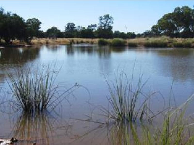 Gwabegar NSW 2356
