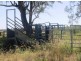 Gwabegar NSW 2356