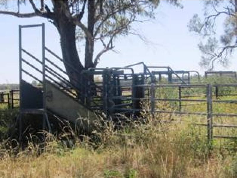 Gwabegar NSW 2356