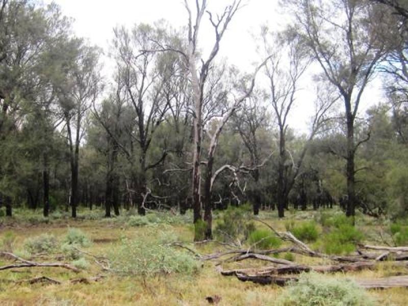 700 Hulls Road, Wee Waa NSW 2388