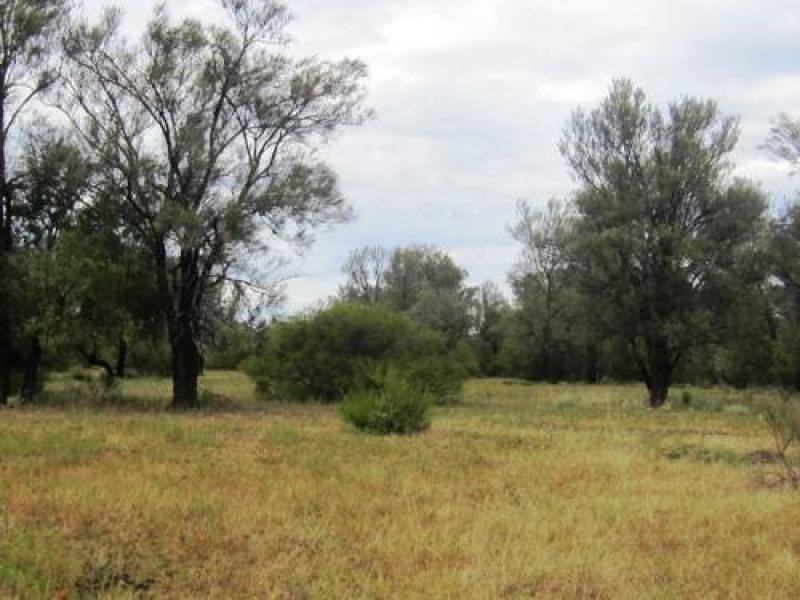 700 Hulls Road, Wee Waa NSW 2388