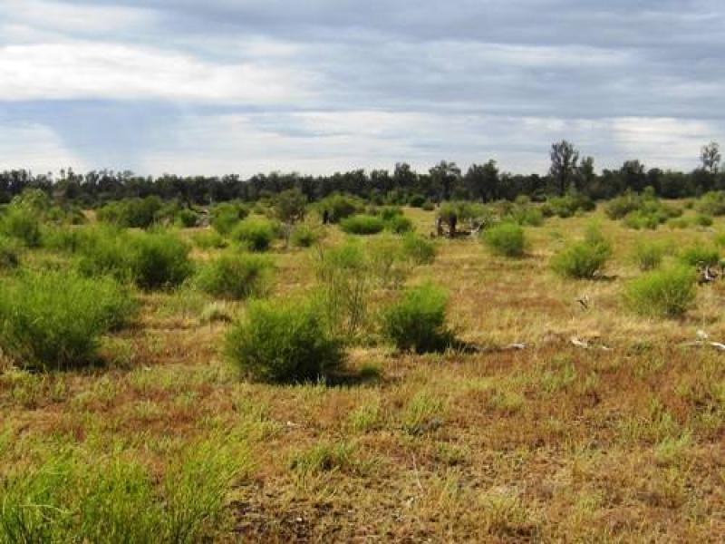 700 Hulls Road, Wee Waa NSW 2388