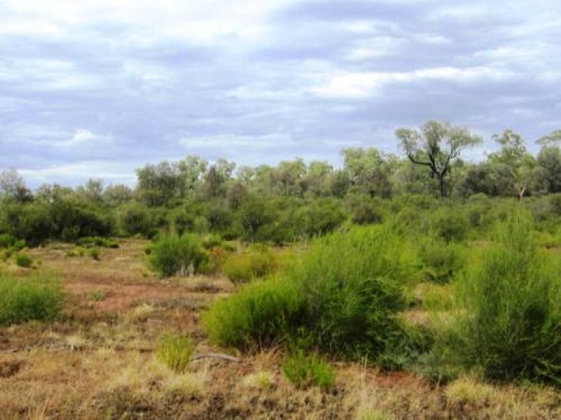 700 Hulls Road, Wee Waa NSW 2388