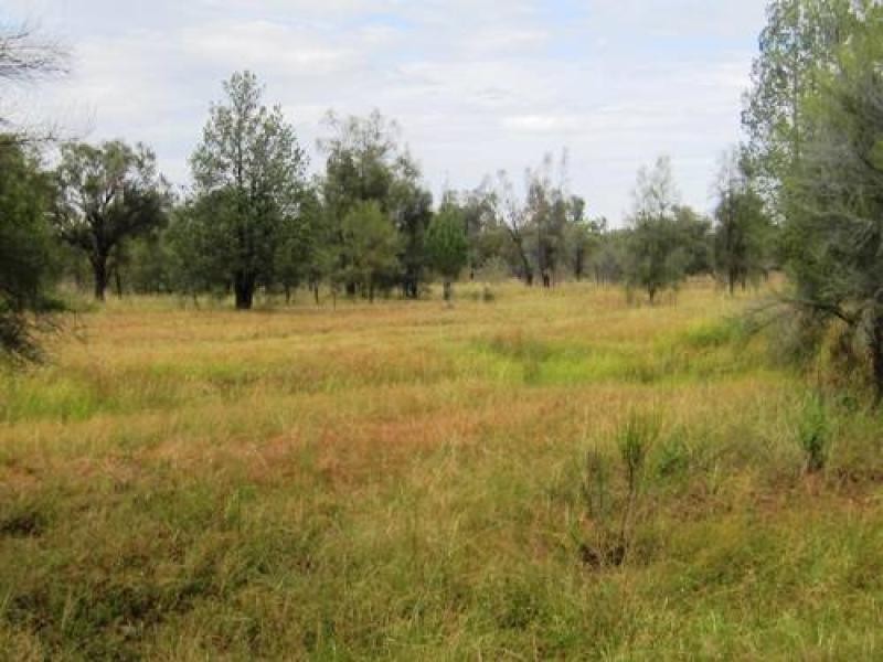 700 Hulls Road, Wee Waa NSW 2388