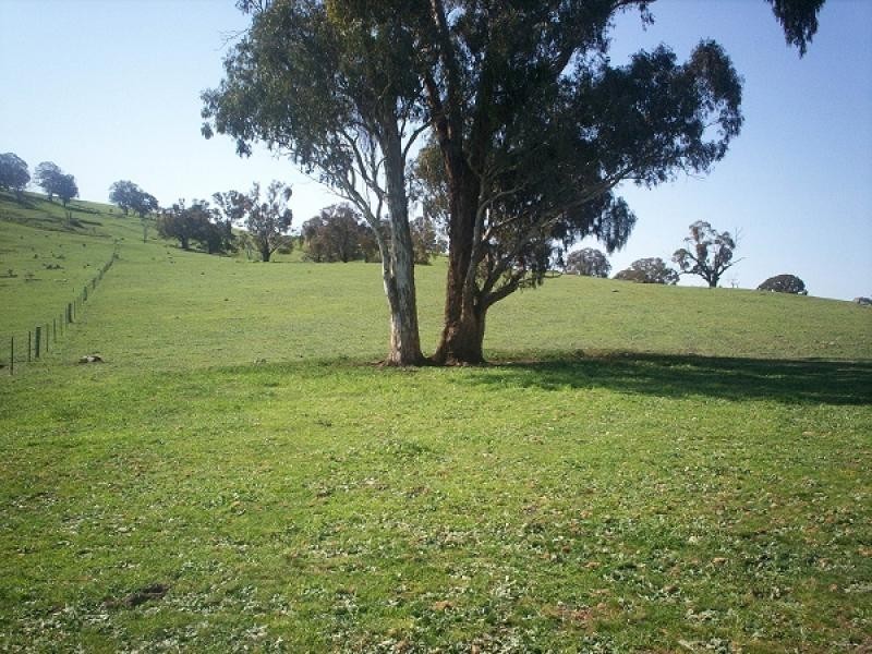 Carcoar NSW 2791