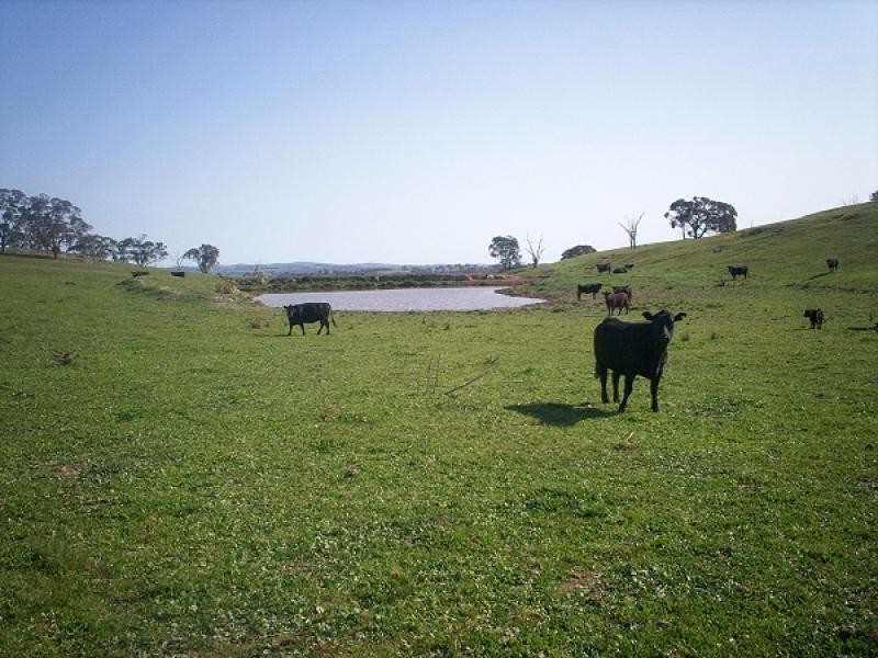 Carcoar NSW 2791