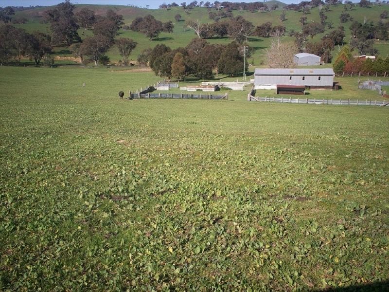 Carcoar NSW 2791