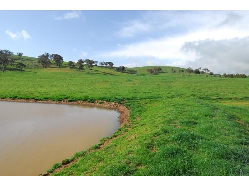 Neville NSW 2799