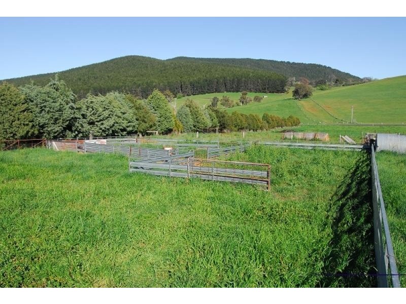 Neville NSW 2799