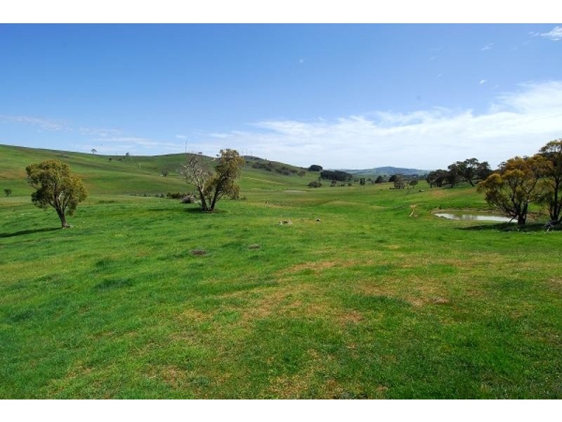 Neville NSW 2799
