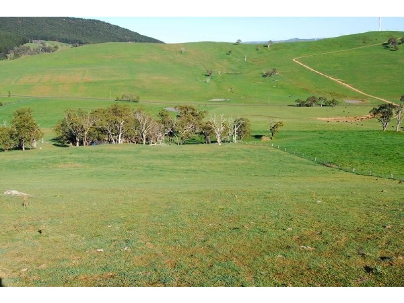 Neville NSW 2799