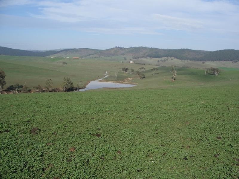 179 Fitzgeralds Valley Road, Bathurst NSW 2795