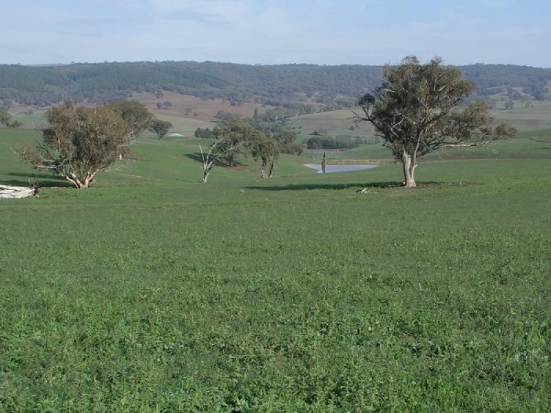 179 Fitzgeralds Valley Road, Bathurst NSW 2795