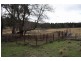 286 Redbank Road Rockley, Bathurst NSW 2795