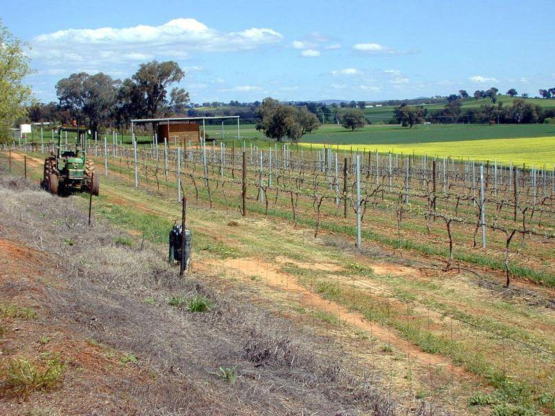 104 CARRO PARK ROAD, Cowra NSW 2794