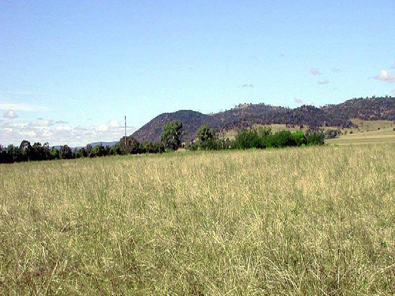 GRENFELL ROAD, Cowra NSW 2794