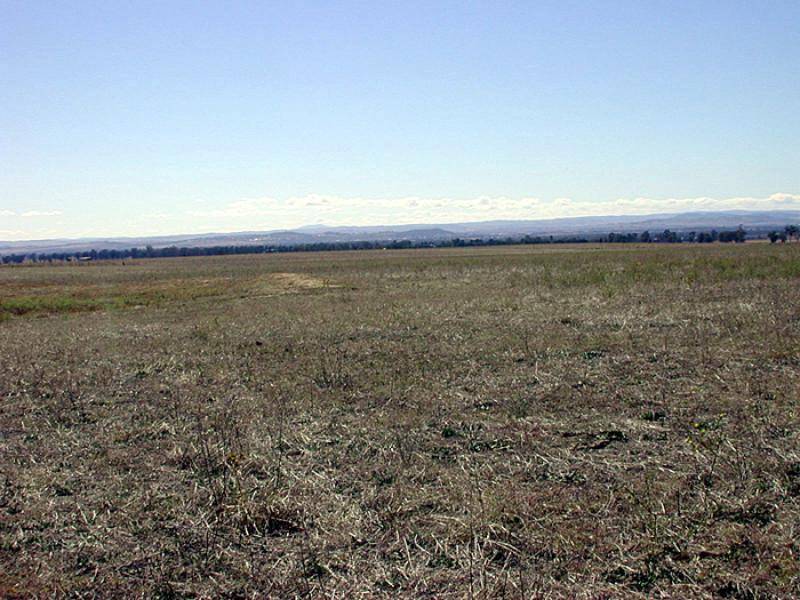 GRENFELL ROAD, Cowra NSW 2794