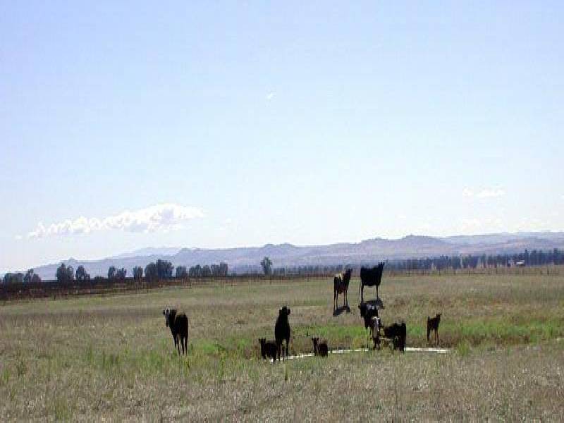 GRENFELL ROAD, Cowra NSW 2794