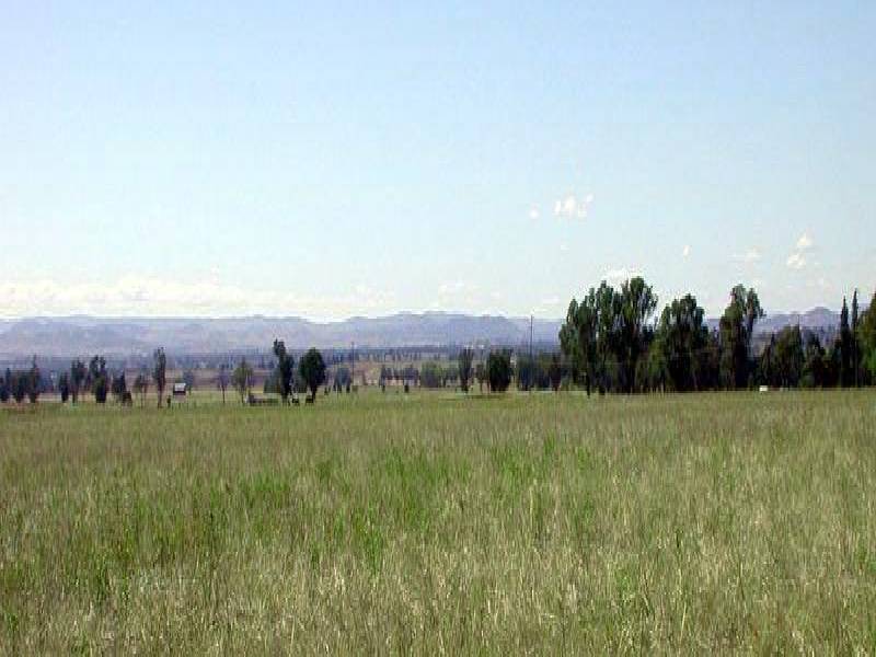 GRENFELL ROAD, Cowra NSW 2794
