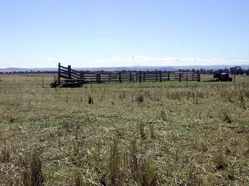GRENFELL ROAD, Cowra NSW 2794