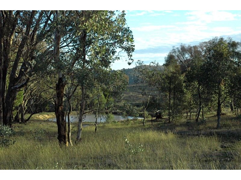 630 CLEMENTS ROAD, Cowra NSW 2794