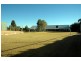 4+ bedrooms on 0.8 Ha, Cowra NSW 2794