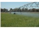 Gooloogong NSW 2805