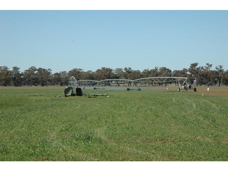 Gooloogong NSW 2805