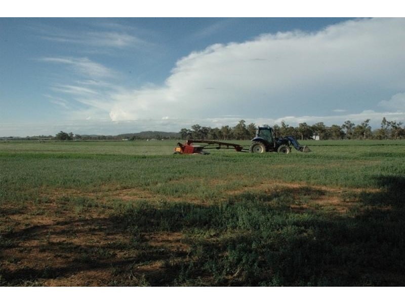 Gooloogong NSW 2805