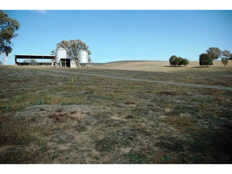 201 Errowanbang Road, Carcoar NSW 2791