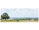 425 Millamolong Station Rd, Mandurama NSW 2792
