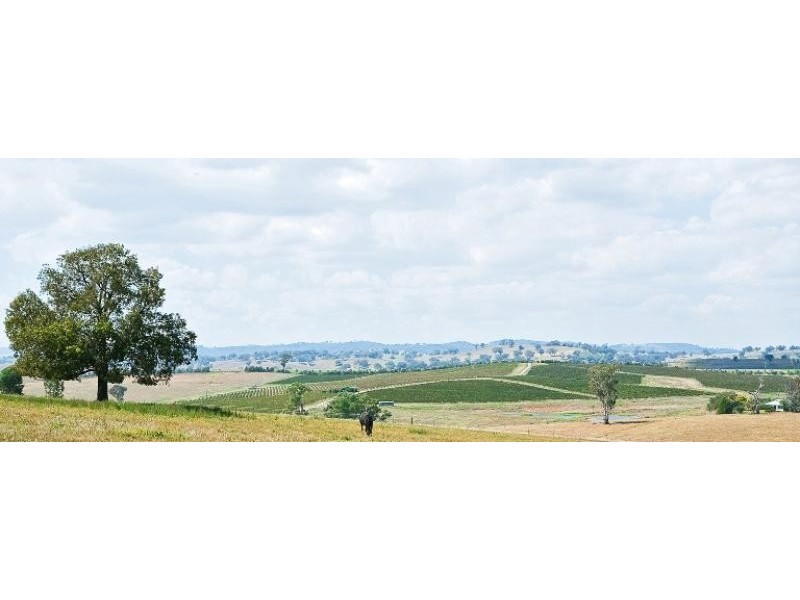 425 Millamolong Station Rd, Mandurama NSW 2792