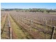 425 Millamolong Station Rd, Mandurama NSW 2792