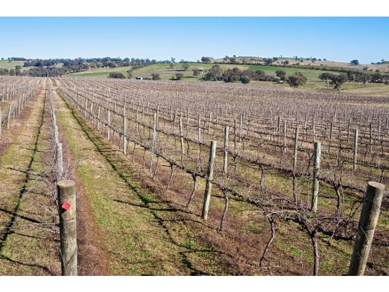 425 Millamolong Station Rd, Mandurama NSW 2792