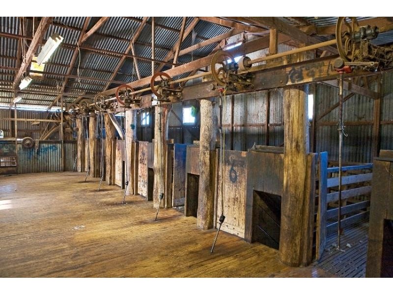 425 Millamolong Station Rd, Mandurama NSW 2792