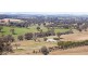 425 Millamolong Station Rd, Mandurama NSW 2792