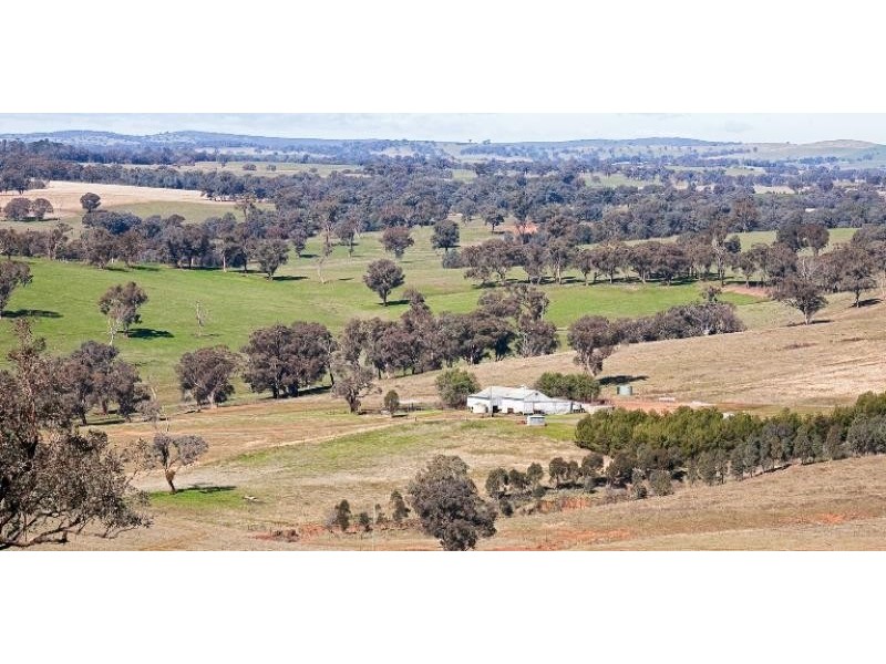 425 Millamolong Station Rd, Mandurama NSW 2792