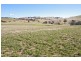 425 Millamolong Station Rd, Mandurama NSW 2792