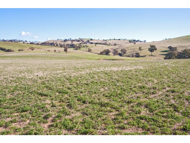 425 Millamolong Station Rd, Mandurama NSW 2792