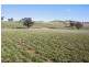425 Millamolong Station Rd, Mandurama NSW 2792