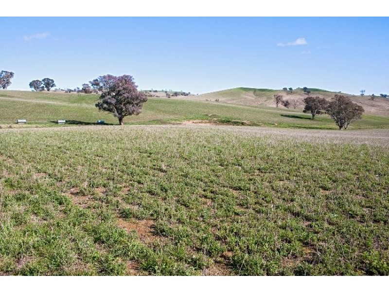 425 Millamolong Station Rd, Mandurama NSW 2792