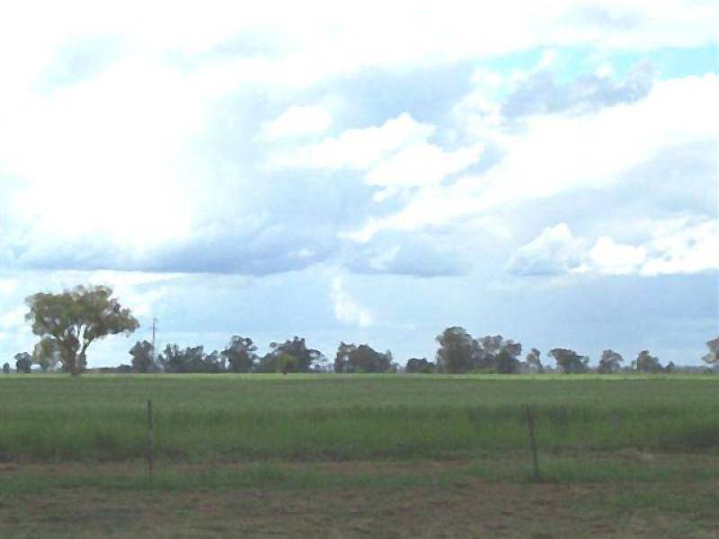 3 KILOMETRES FROM, Barmedman NSW 2668