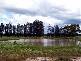 3 KILOMETRES FROM, Barmedman NSW 2668