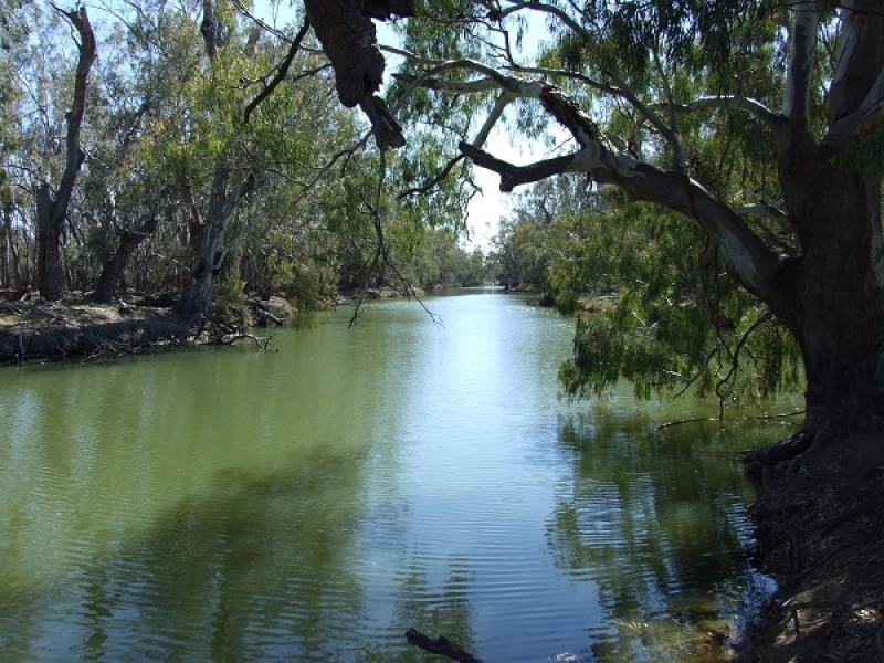 Lake Cargelligo NSW 2672
