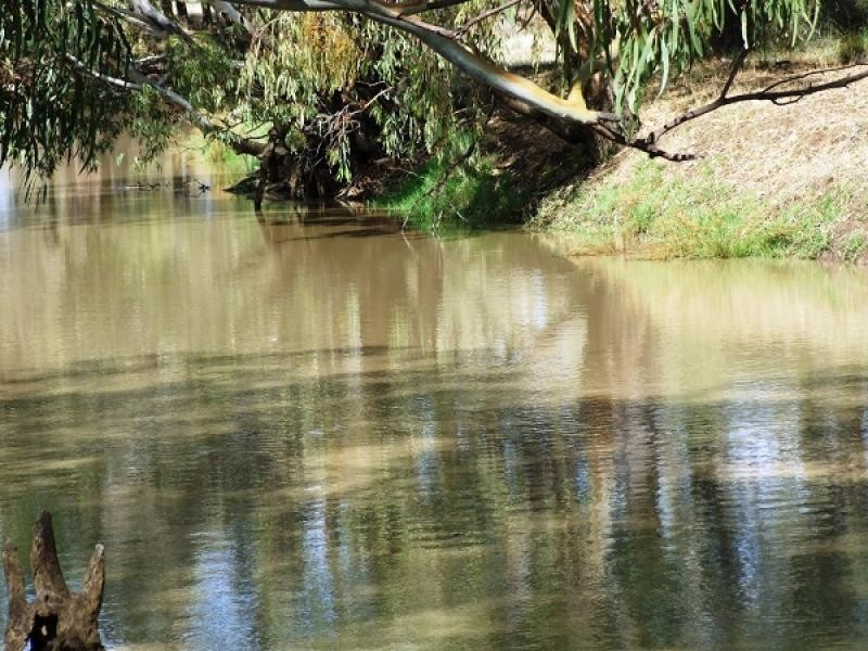 Condobolin NSW 2877