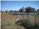 83-85 Wilga St, Coonamble NSW 2829