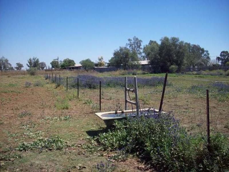 83-85 Wilga St, Coonamble NSW 2829