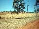 OLD GUNDAGAI ROAD, Cootamundra NSW 2590