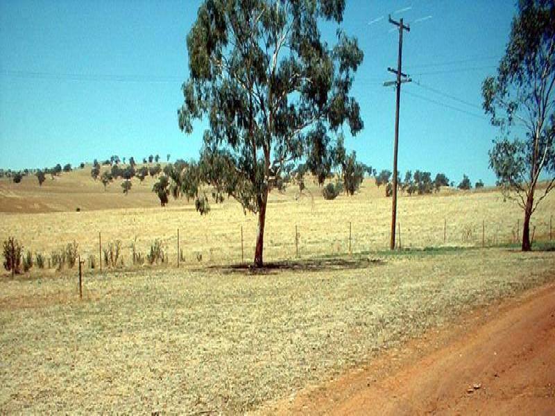 OLD GUNDAGAI ROAD, Cootamundra NSW 2590