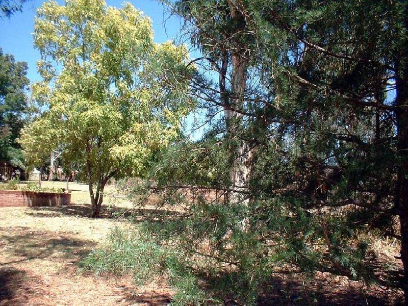 OLD GUNDAGAI ROAD, Cootamundra NSW 2590